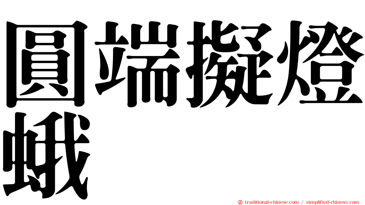 圓端擬燈蛾