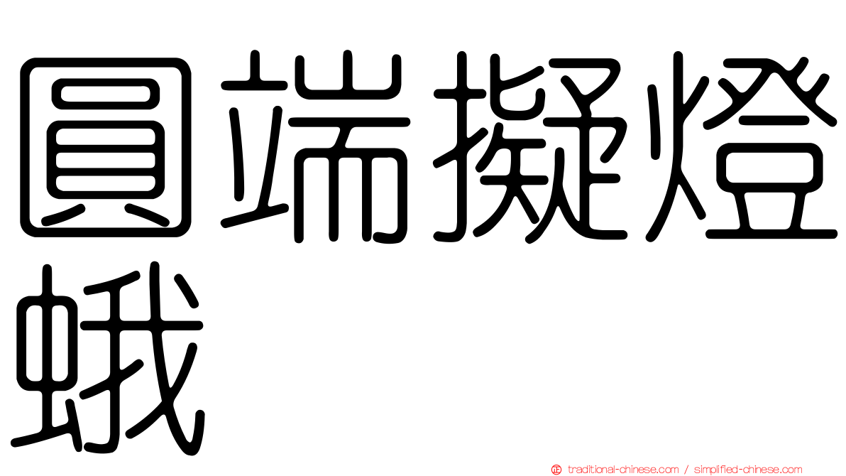 圓端擬燈蛾