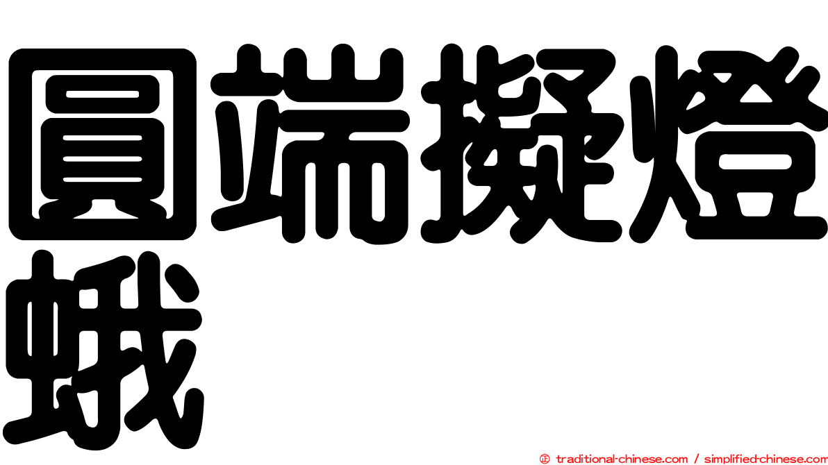 圓端擬燈蛾