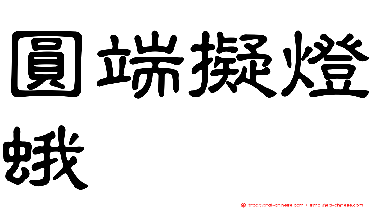 圓端擬燈蛾