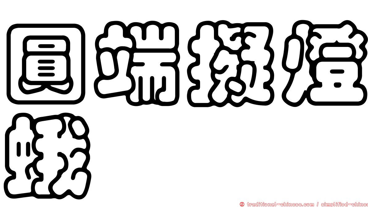 圓端擬燈蛾