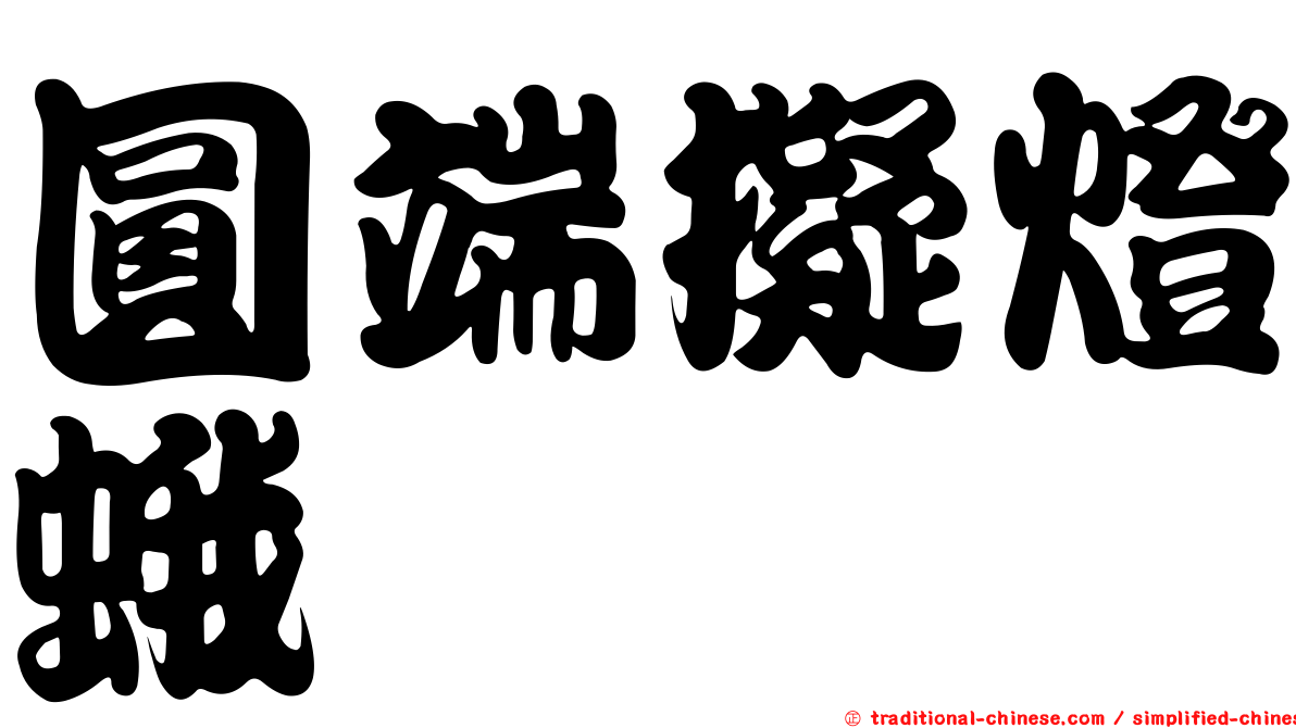 圓端擬燈蛾
