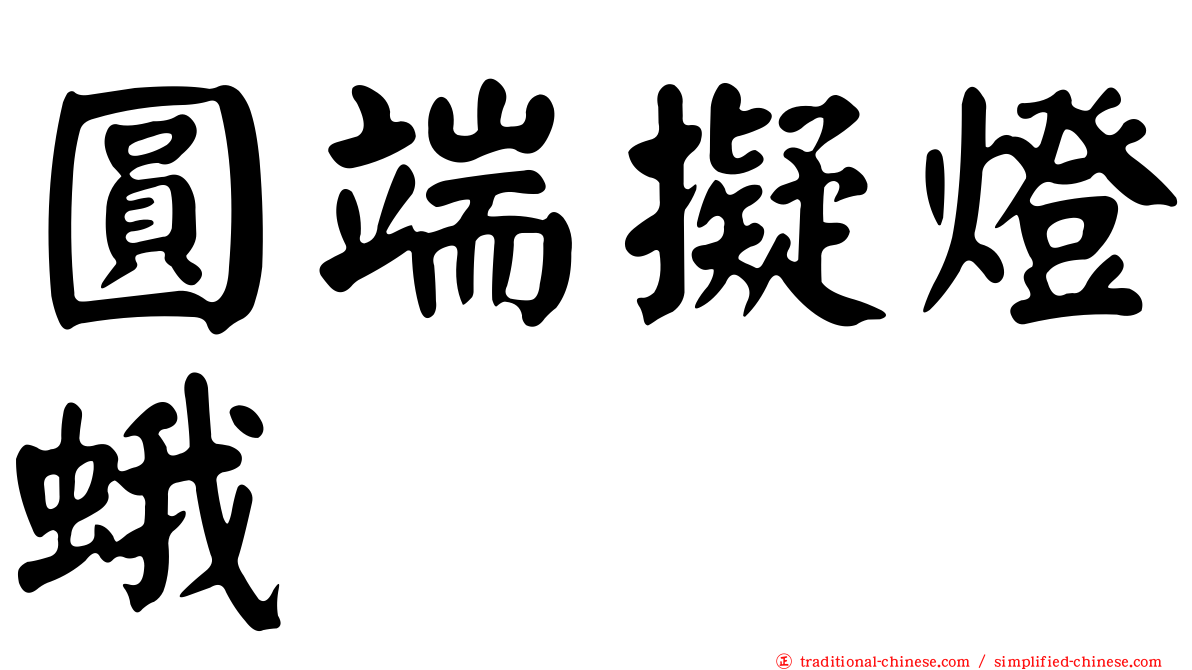 圓端擬燈蛾