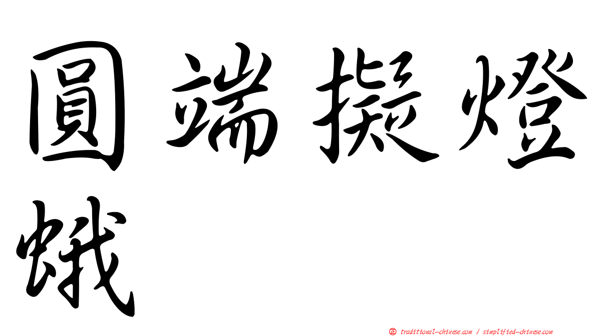 圓端擬燈蛾
