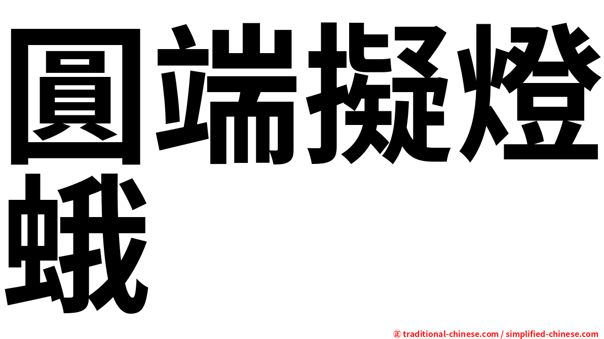 圓端擬燈蛾