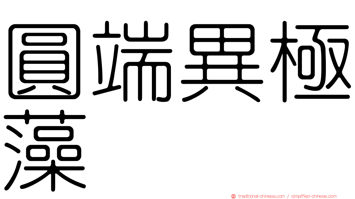 圓端異極藻