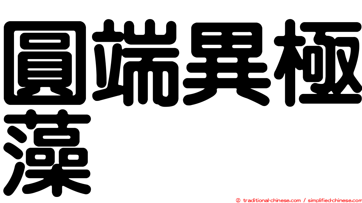 圓端異極藻