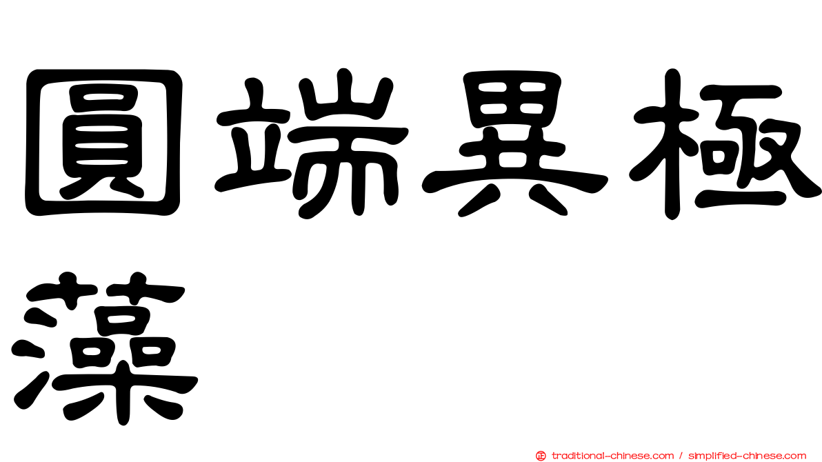 圓端異極藻