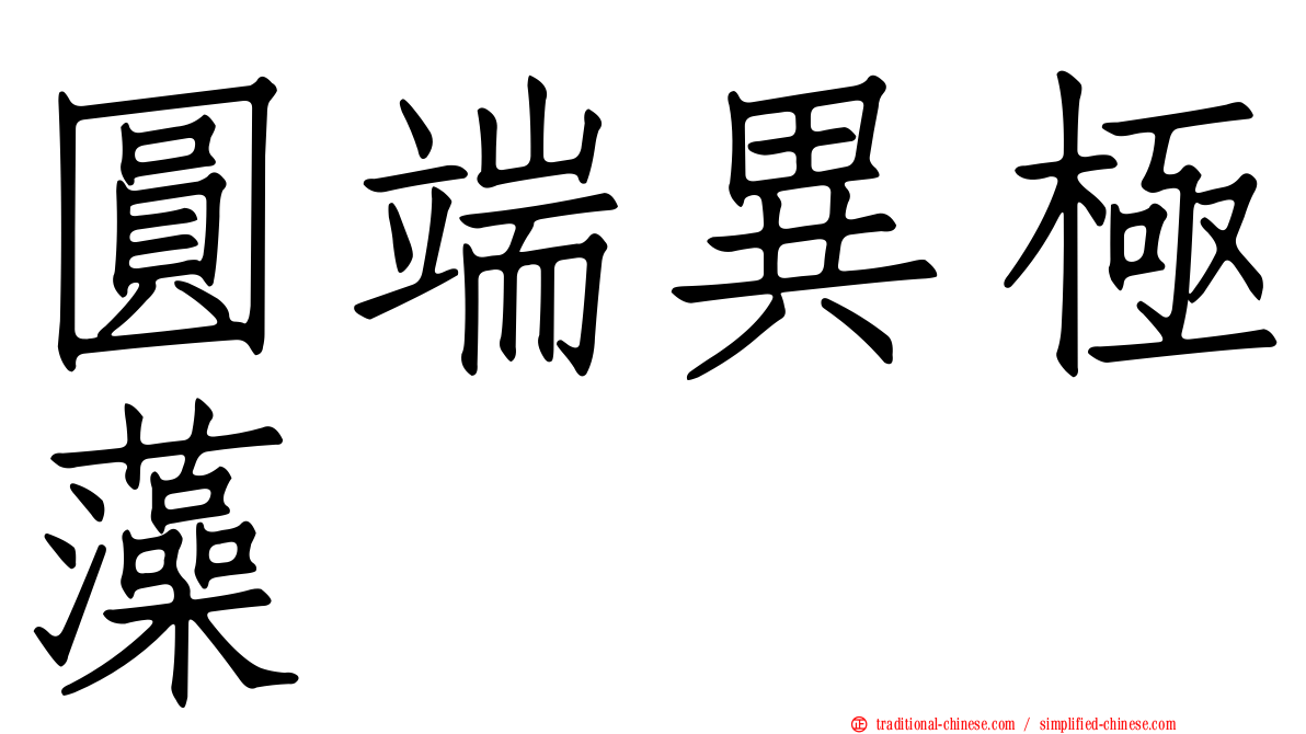 圓端異極藻