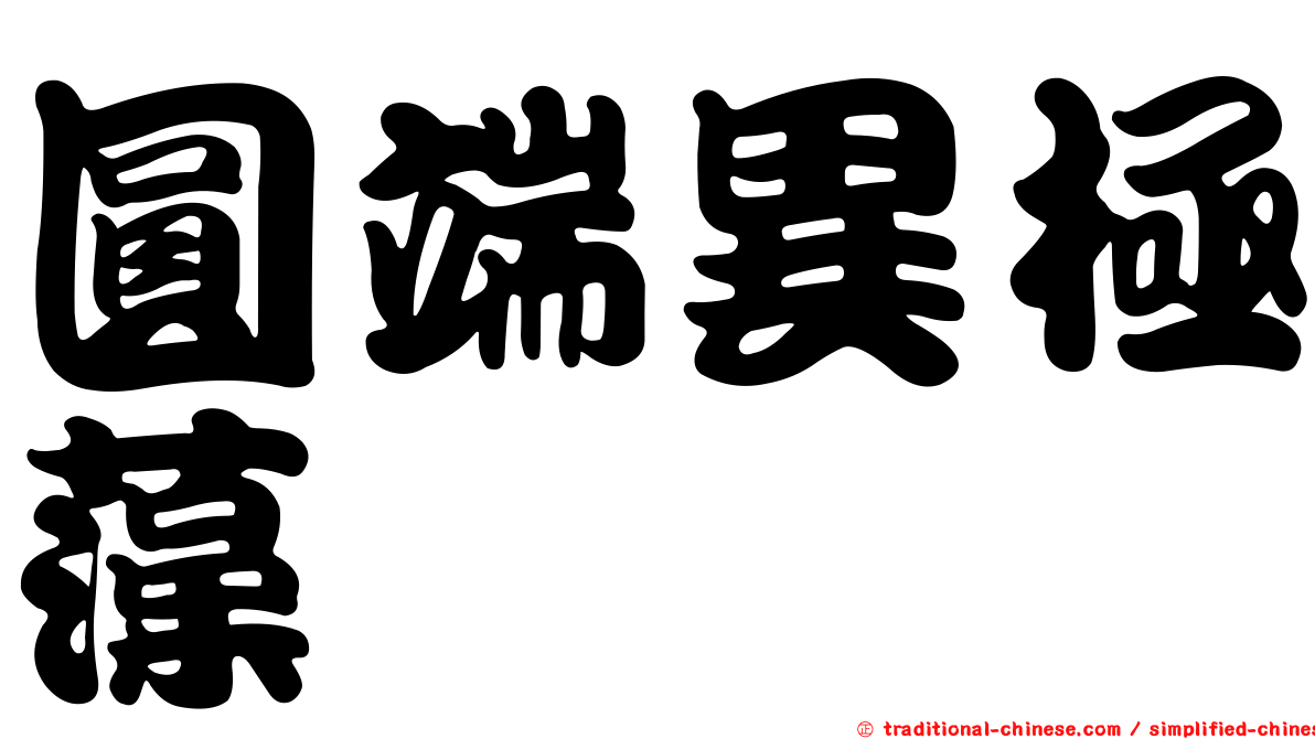 圓端異極藻