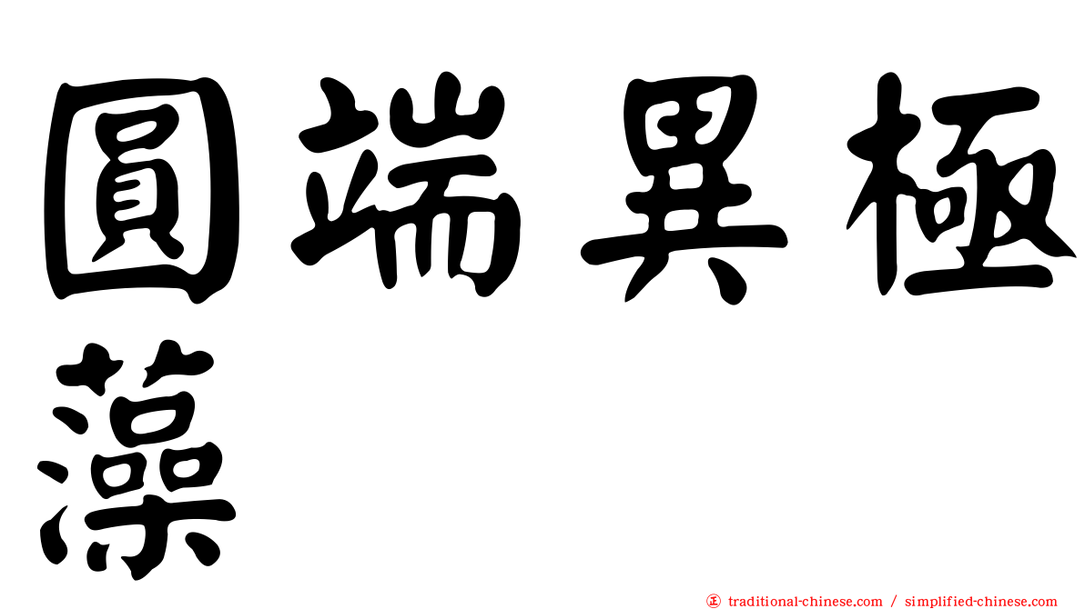 圓端異極藻