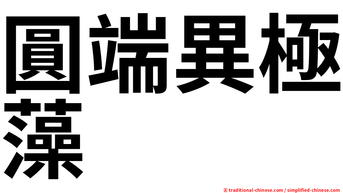 圓端異極藻