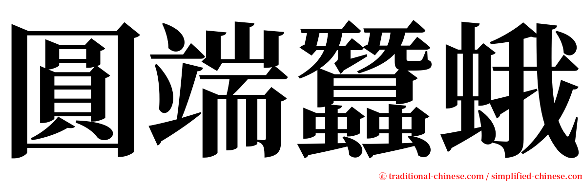 圓端蠶蛾 serif font