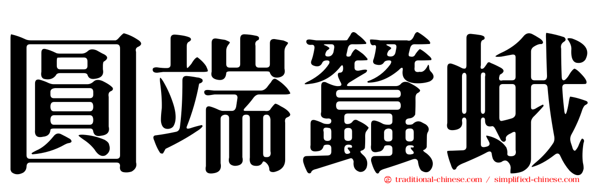 圓端蠶蛾