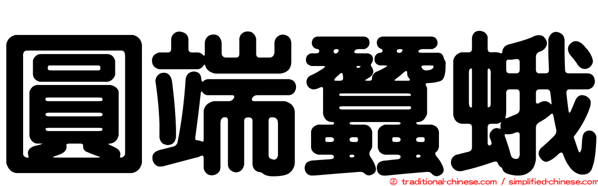 圓端蠶蛾