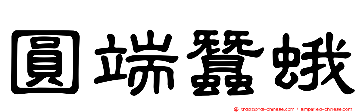圓端蠶蛾