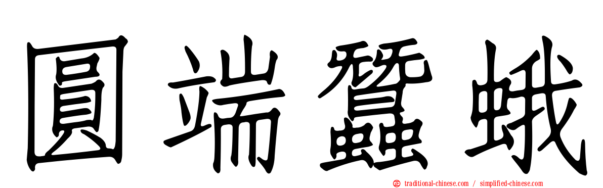 圓端蠶蛾
