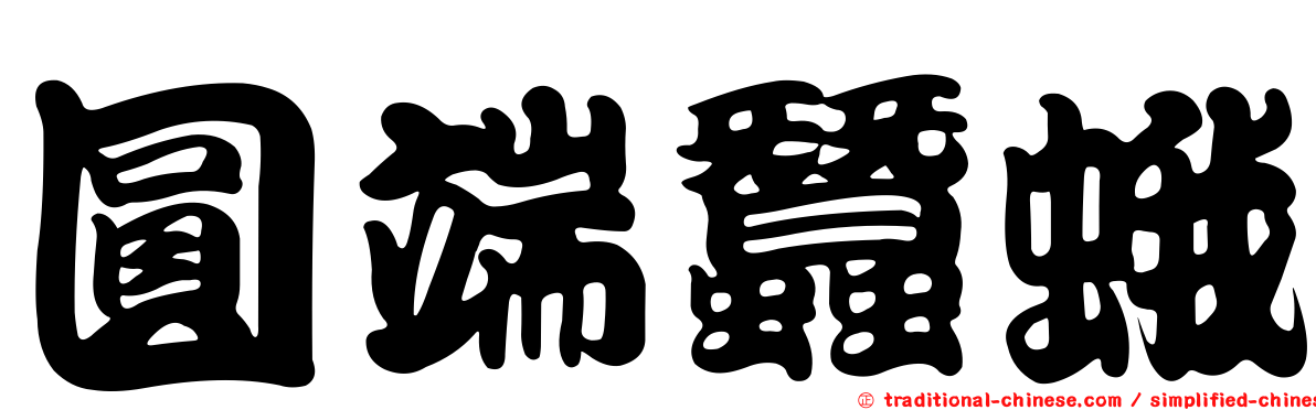 圓端蠶蛾
