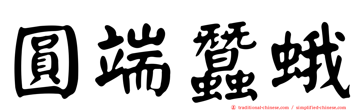 圓端蠶蛾