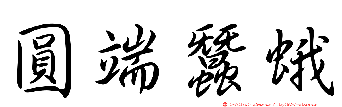 圓端蠶蛾
