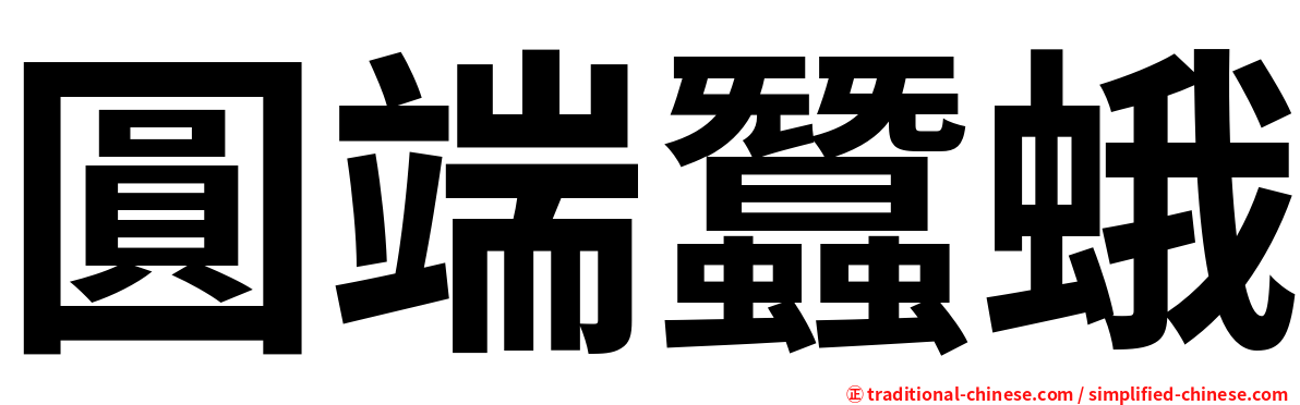 圓端蠶蛾