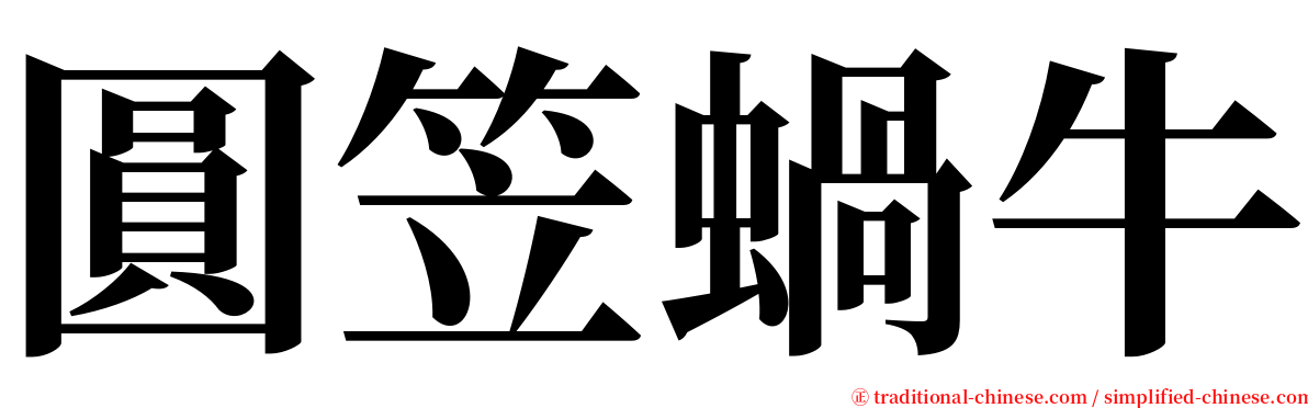 圓笠蝸牛 serif font