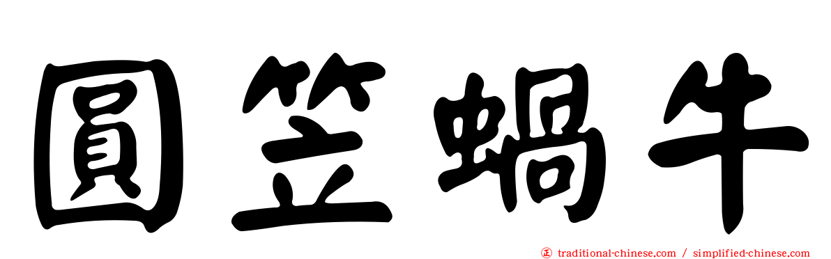 圓笠蝸牛