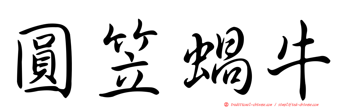 圓笠蝸牛