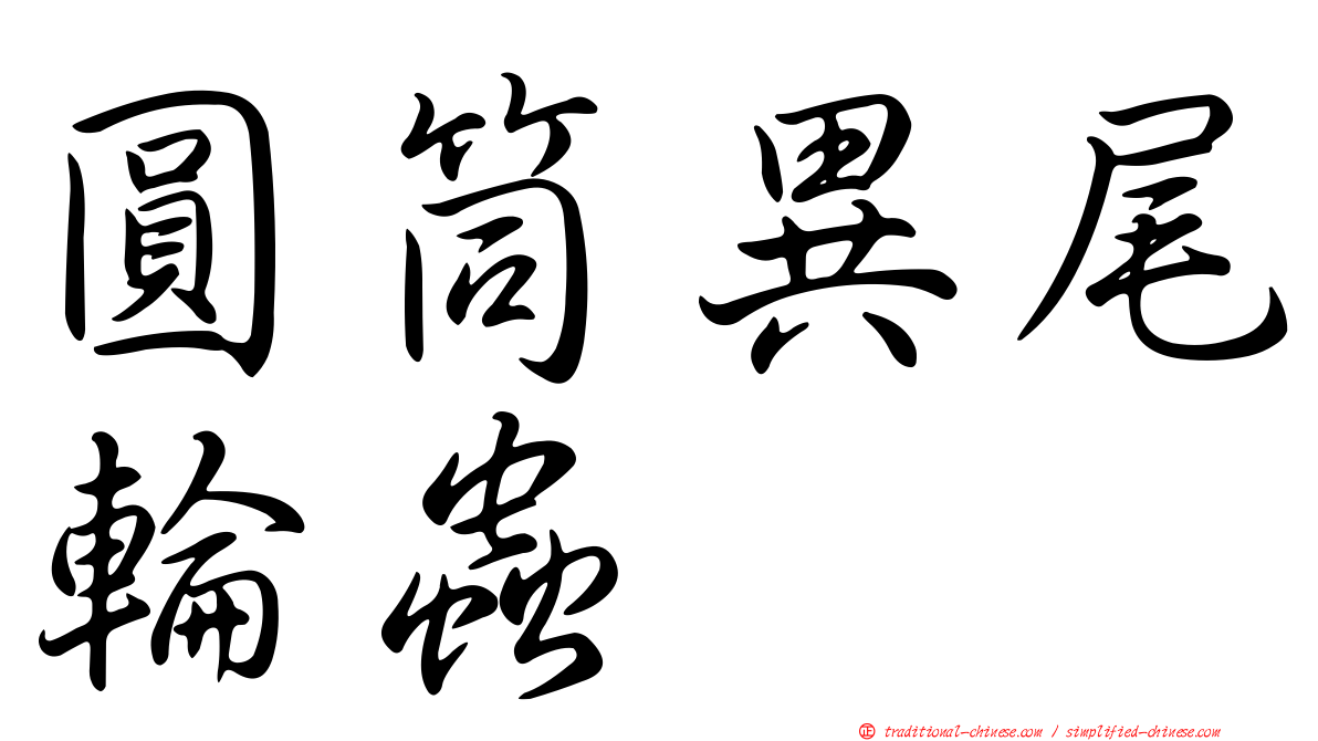 圓筒異尾輪蟲