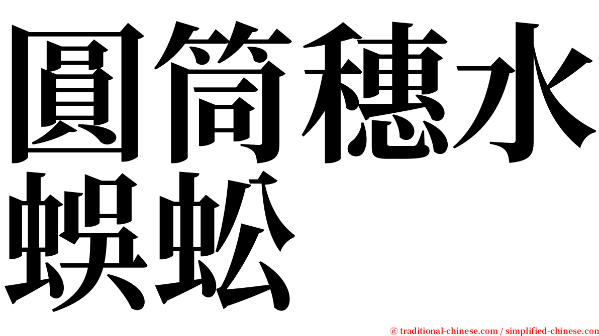 圓筒穗水蜈蚣 serif font