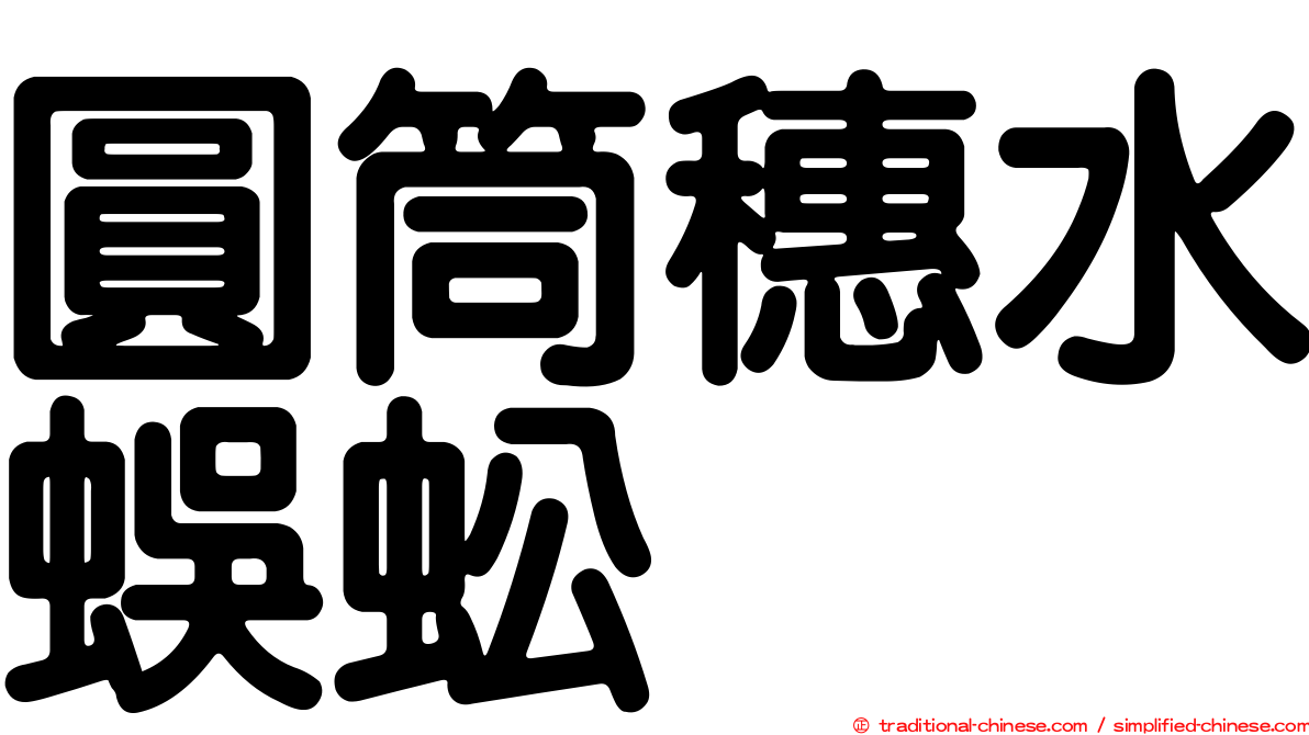 圓筒穗水蜈蚣