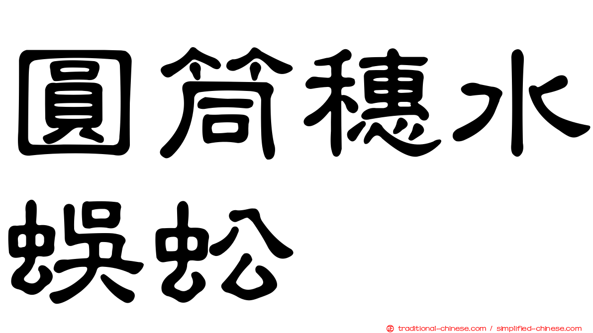 圓筒穗水蜈蚣