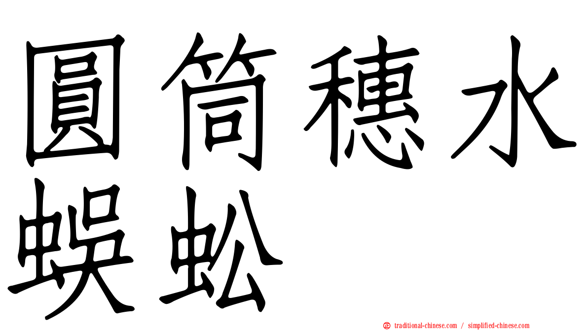 圓筒穗水蜈蚣