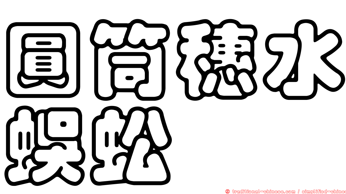 圓筒穗水蜈蚣