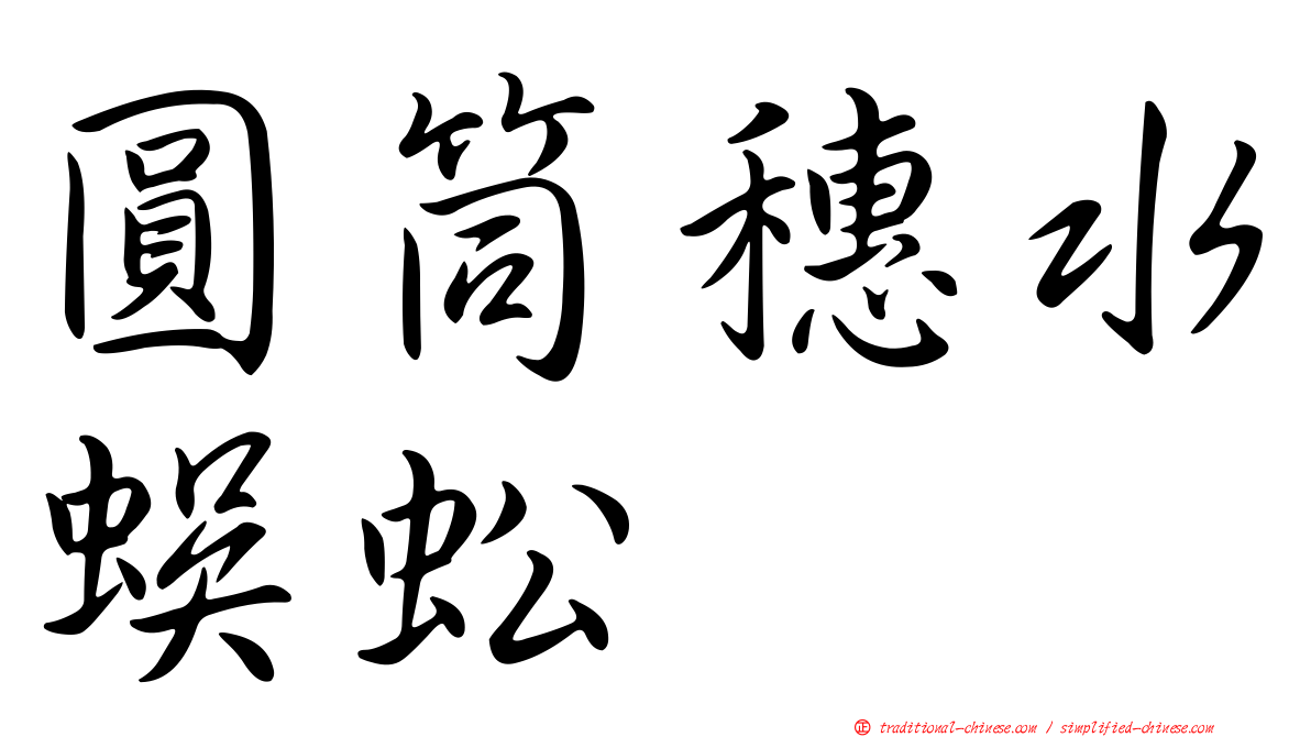 圓筒穗水蜈蚣