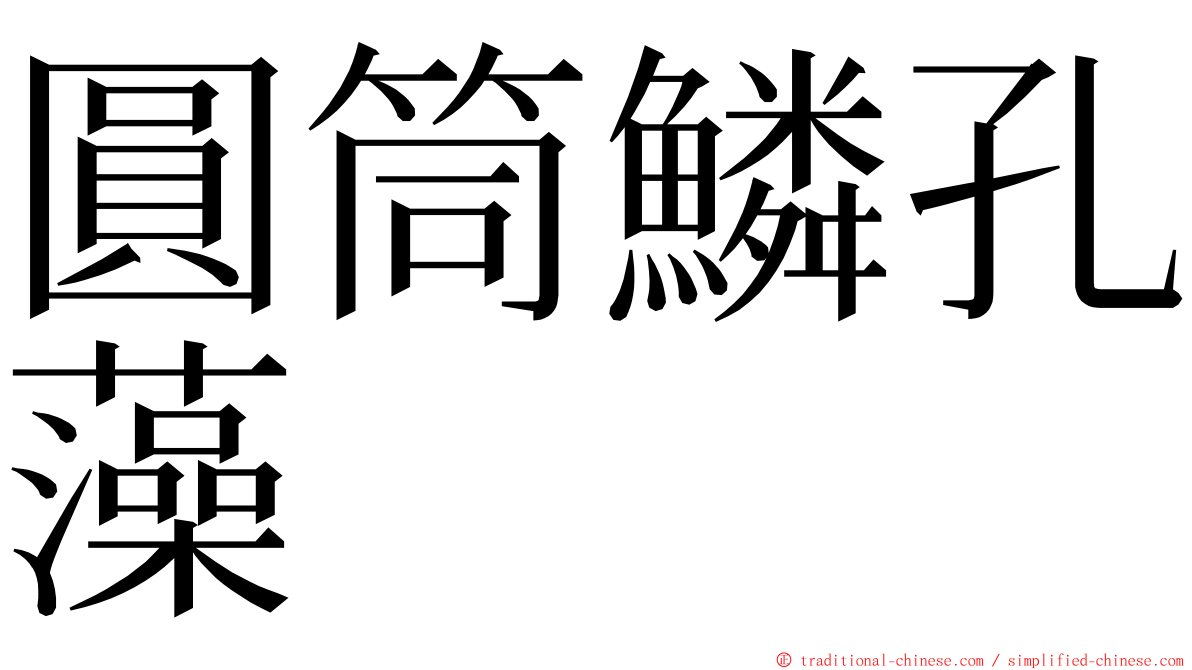 圓筒鱗孔藻 ming font