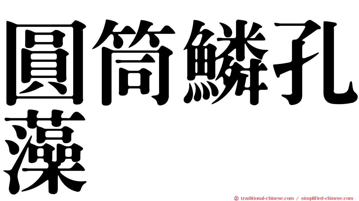 圓筒鱗孔藻