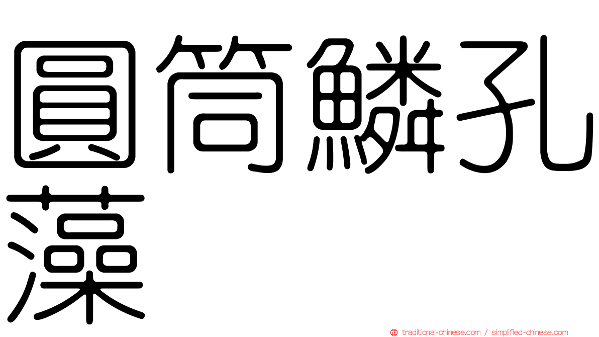 圓筒鱗孔藻