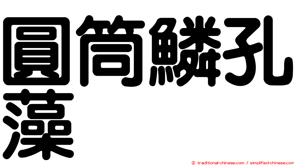 圓筒鱗孔藻