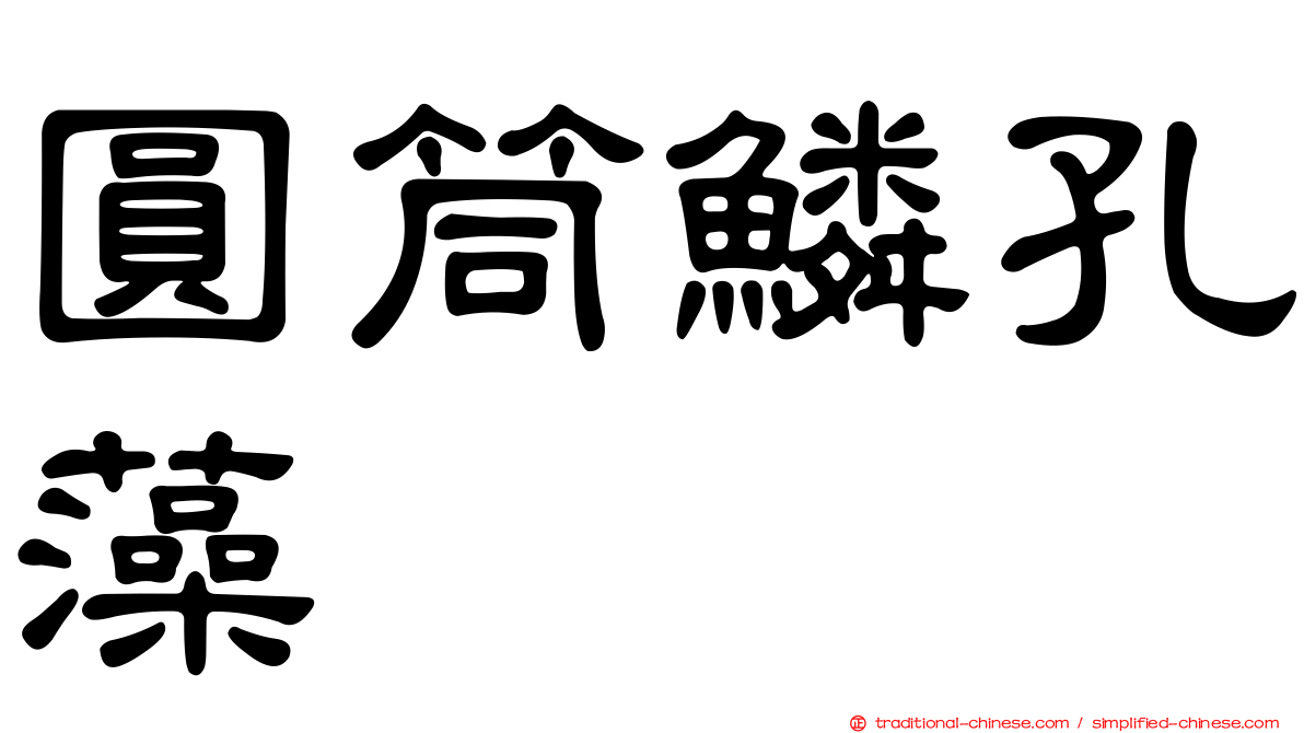 圓筒鱗孔藻