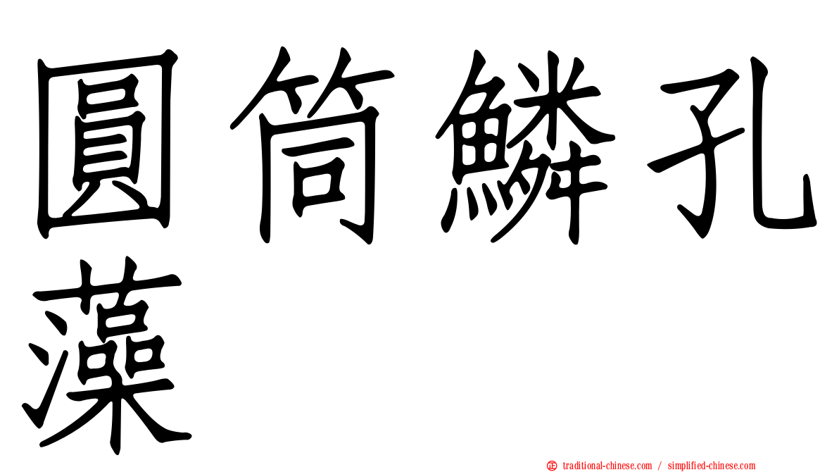 圓筒鱗孔藻