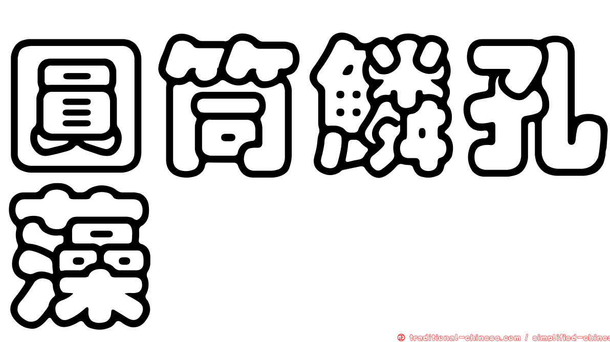 圓筒鱗孔藻