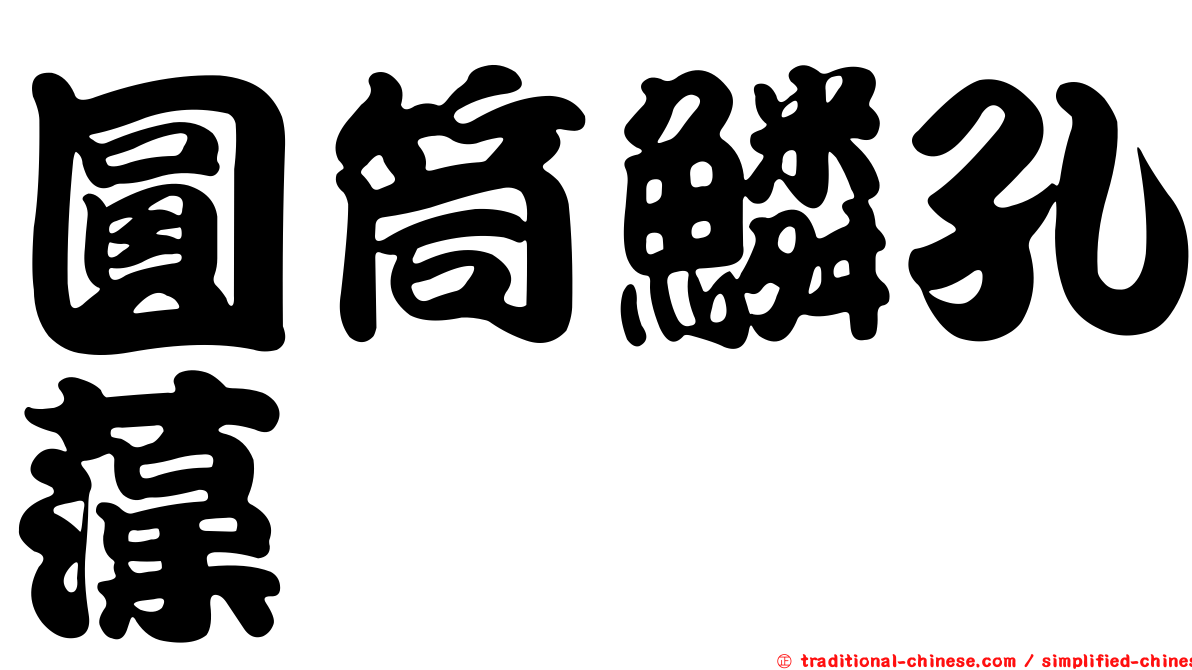 圓筒鱗孔藻