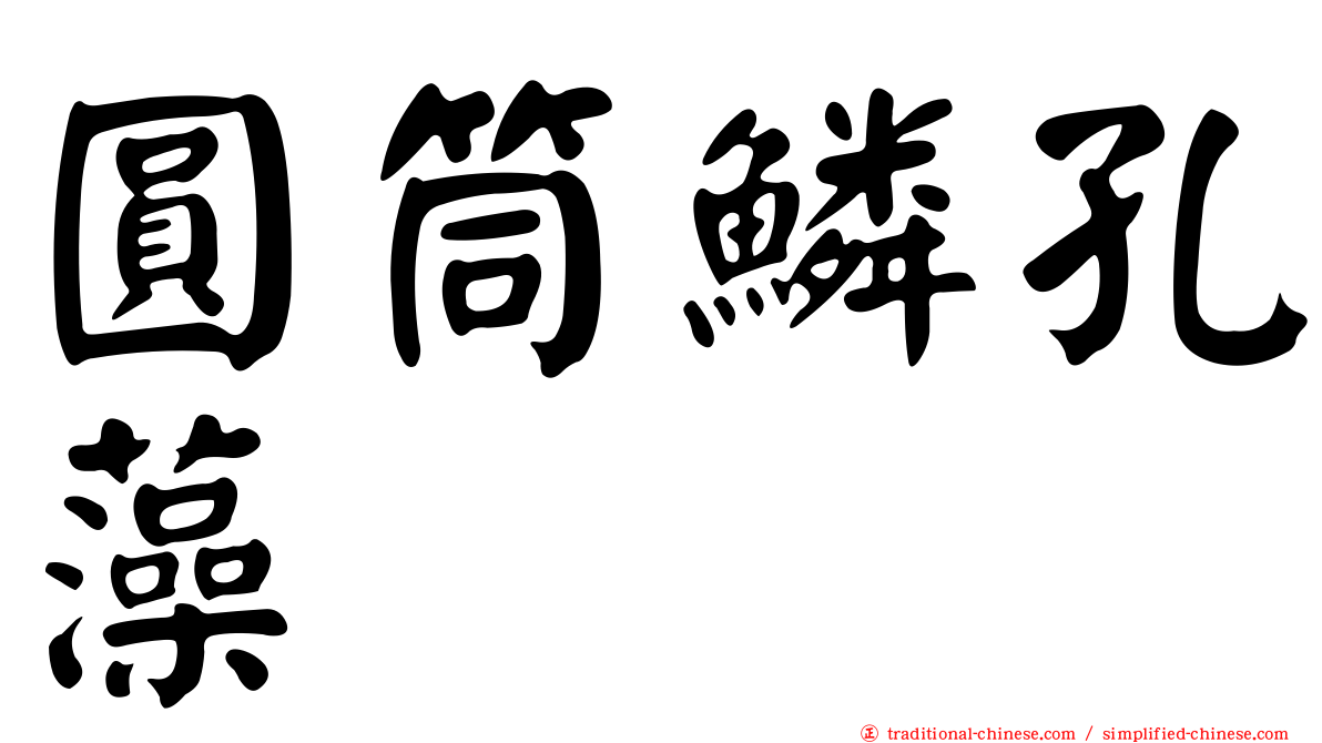 圓筒鱗孔藻