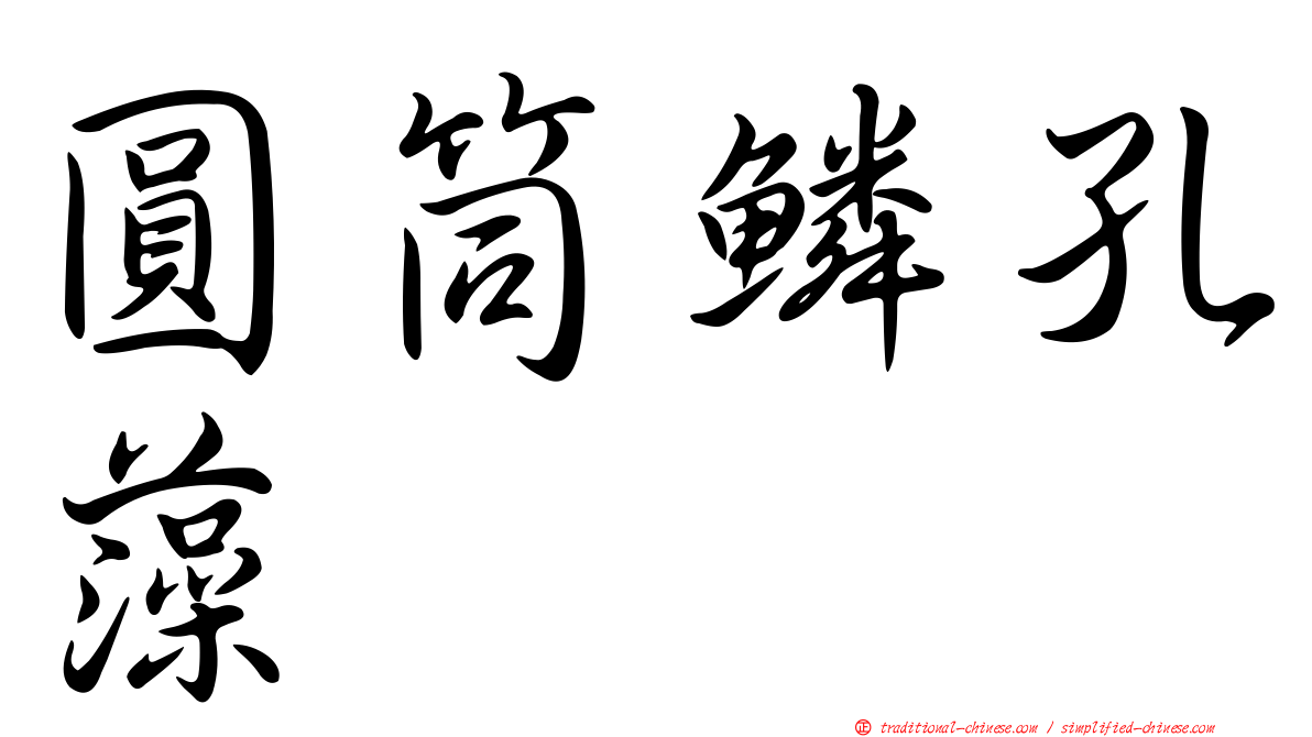 圓筒鱗孔藻