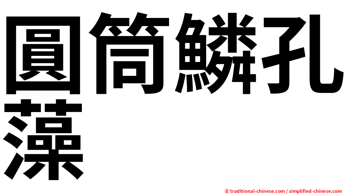圓筒鱗孔藻
