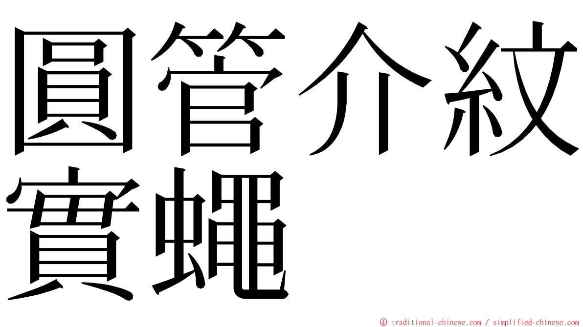 圓管介紋實蠅 ming font