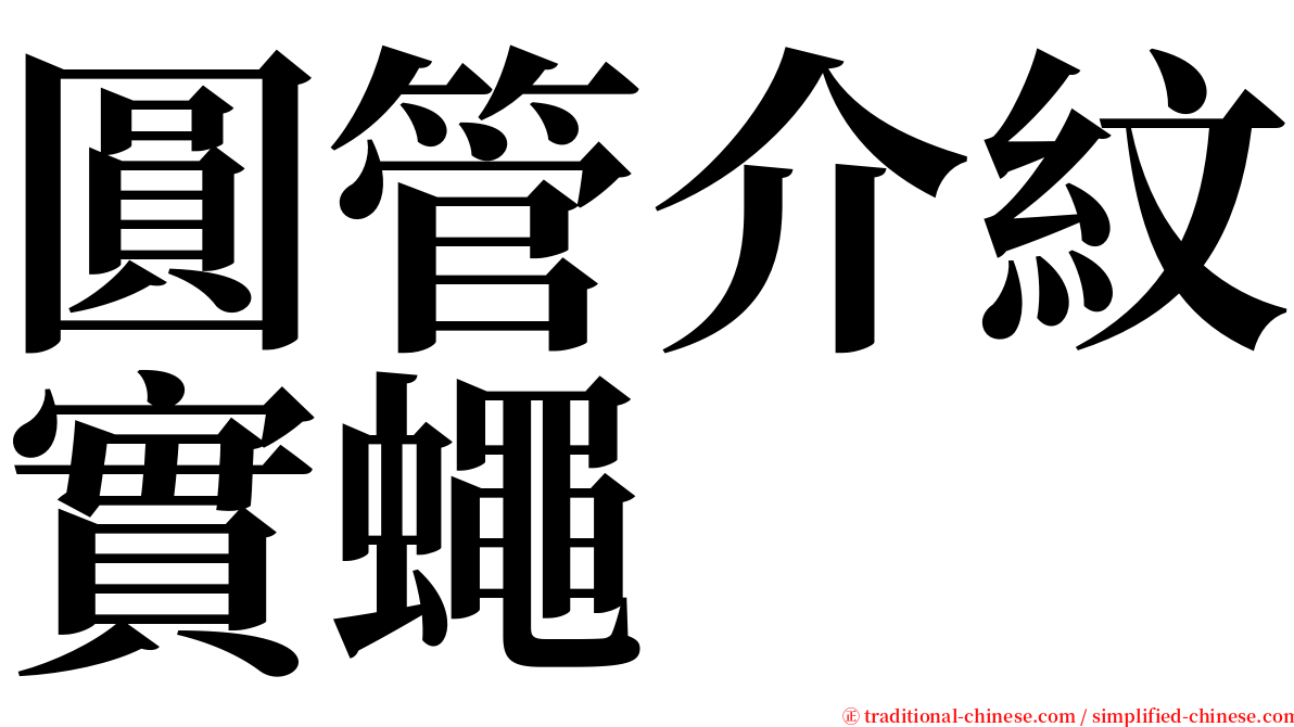 圓管介紋實蠅 serif font