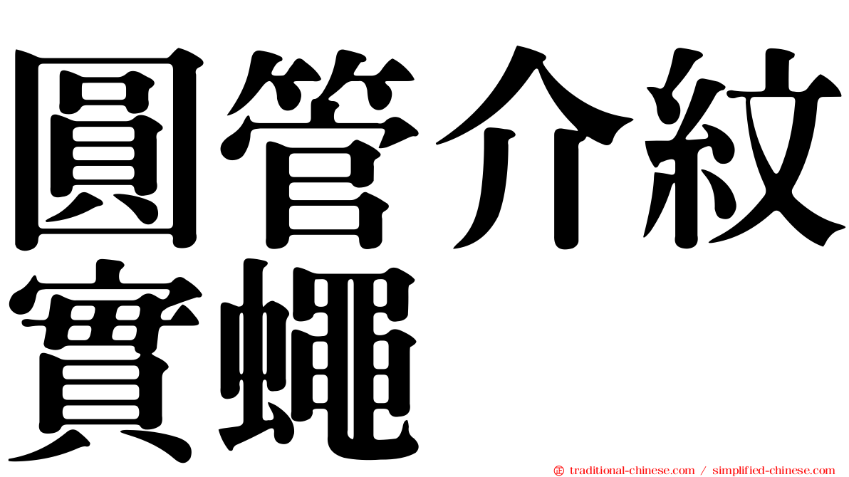 圓管介紋實蠅