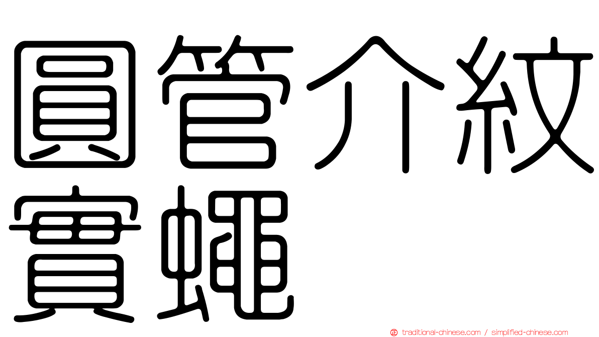 圓管介紋實蠅